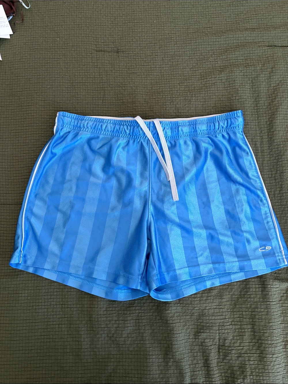 Champion Women’s Light Blue Striped Athletic Shorts